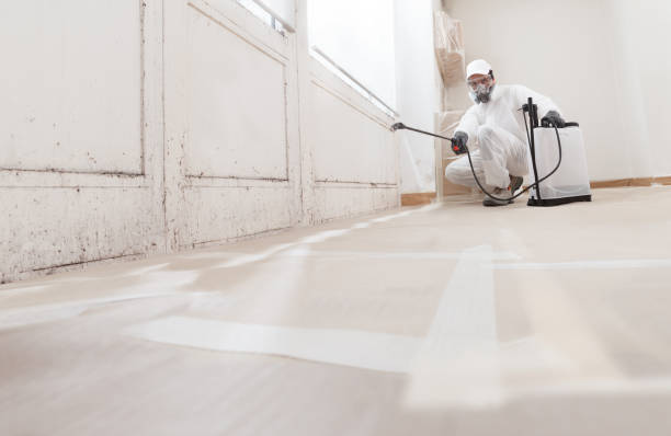 24/7 Emergency Basement Mold Remediation experts in Haverford, PA